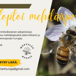 Adoptoi mehiläispesä